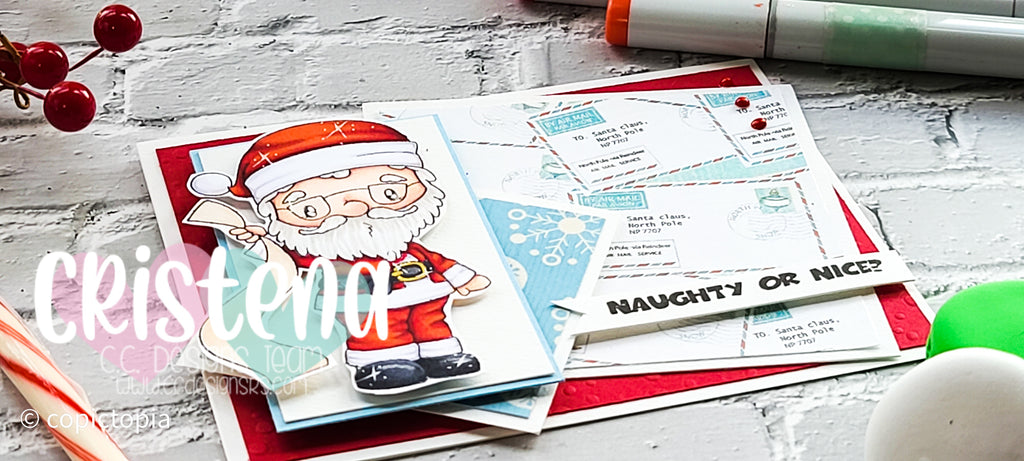 Santa Claus Swissie for Christmas!