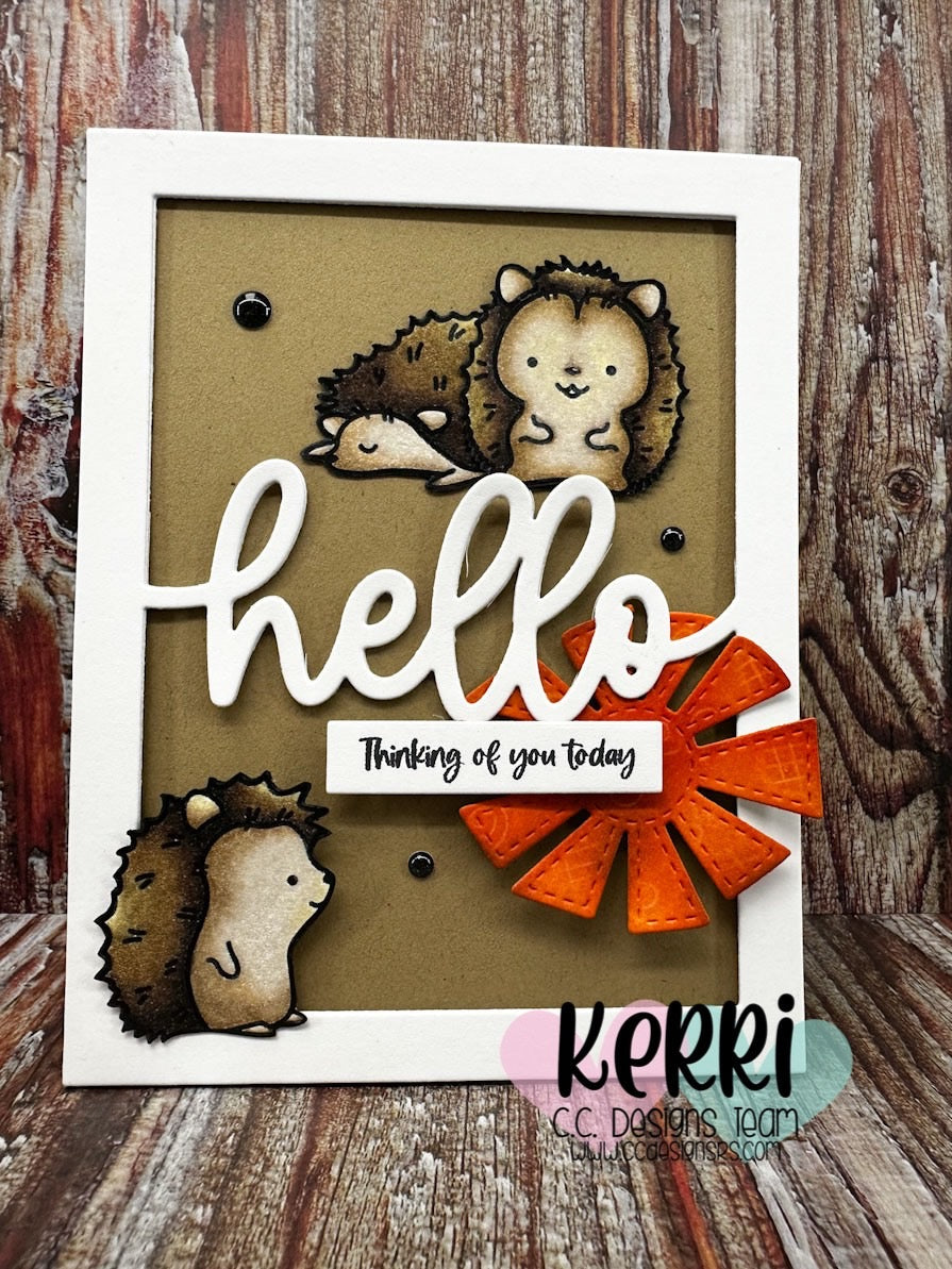 Little Hedgy