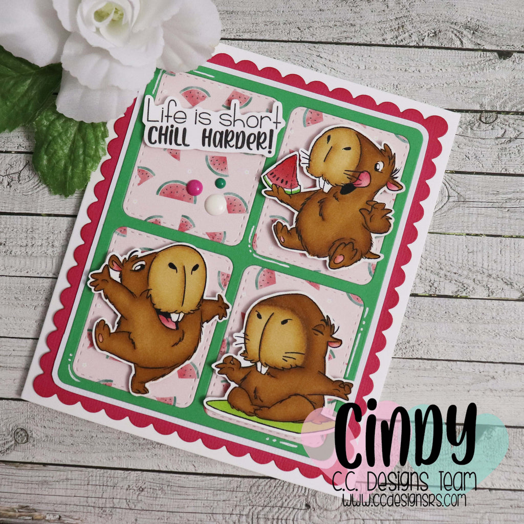 Life Is Short Chill Harder!!!