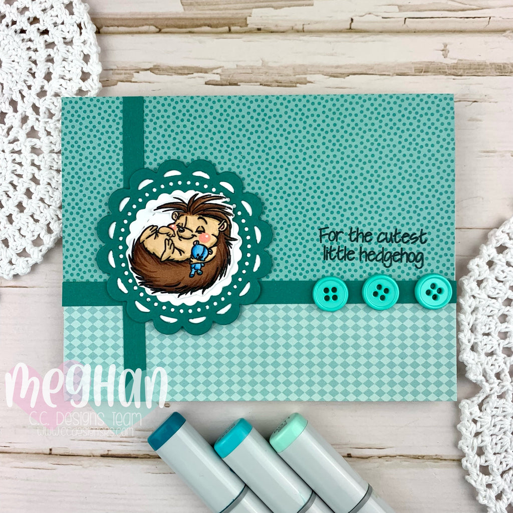 Cutest Little Hedgehog