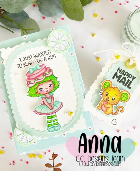 !New Apricot Lime Clear Stamp Set