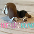 Beagle Articulated 3D Animal